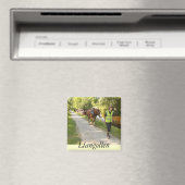 Llangollen Magnet (In Situ (Geschirrspüler))
