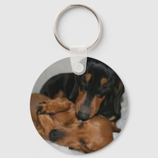 Llavero Botón Básico teckels Schlüsselanhänger