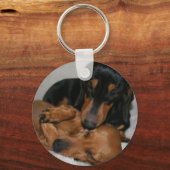 Llavero Botón Básico teckels Schlüsselanhänger (Vorderseite)