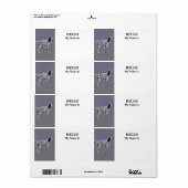 LLewellin Setter (Vorne)