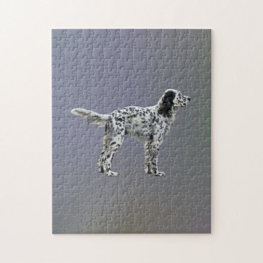 LLewellin Setter Puzzle (Vertikal)