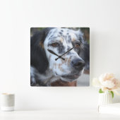 Llewellin Setter Wall Clock Quadratische Wanduhr (Zuhause)