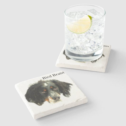 Llewellyn Setzer-Vogel-Gehirn Steinuntersetzer (Seitenansicht)