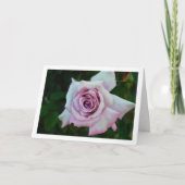 Llilac Rose Portrait Karte (Vorderseite)