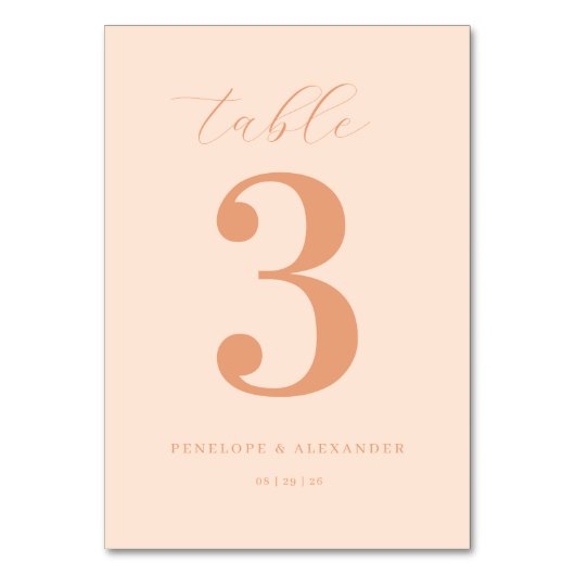 ___LLMGEN___ 13 TISCHNUMMER (Vorderseite)