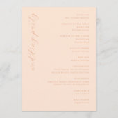 ___LLMGEN___ 27 PROGRAMM (Rückseite)