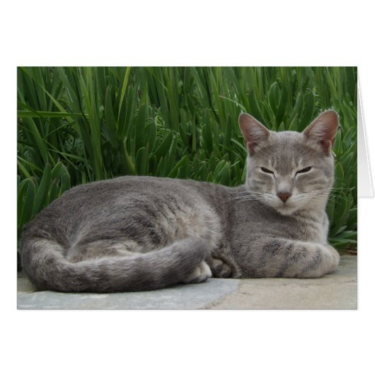 Lloyd Garden Card (Vorderseite (Horizontal))