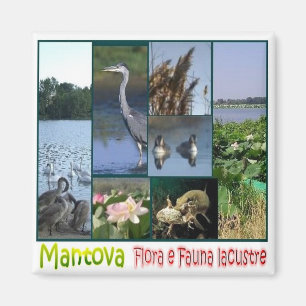 LMD062 MANTOVA, Lacustra Flora und Fauna Kühlschra Magnet