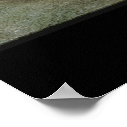 LMS-Klasse-5-Strahlen entlang der Settle_Steam-Züg Poster (Ecke)