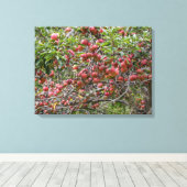 Loaded Apple Tree Leinwanddruck (Insitu (Holzboden))