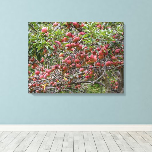 Loaded Apple Tree Leinwanddruck (Insitu (Holzboden))