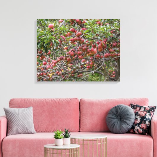 Loaded Apple Tree Leinwanddruck (Insitu (Wohnzimmer))