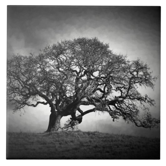 LOAN OAK BAUM FLIESE (Vorderseite)