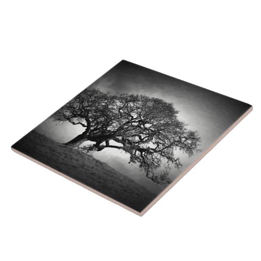 LOAN OAK BAUM FLIESE (Seite)