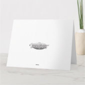 LOAN OAK TREE KARTE (Rückseite)