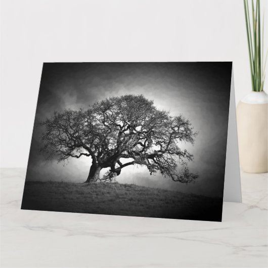 LOAN OAK TREE KARTE (Vorderseite)