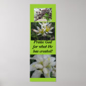 Lob Gott für das, was er geschaffen hat! Poster (Vorne)