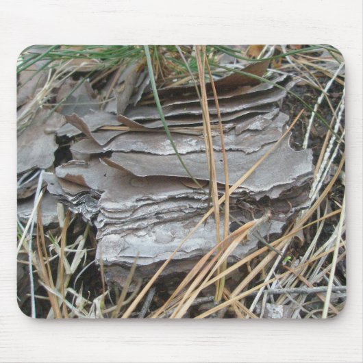 Lob Lolly Pine Bark Mousepad (Vorne)