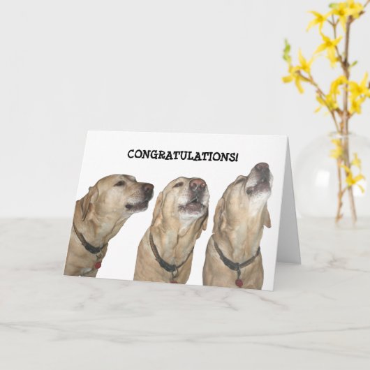 Lob singen karte (Gelbe Blume)