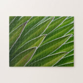 Lobelia (Lobelia telekii)| Kenia, Afrika Puzzle (Horizontal)