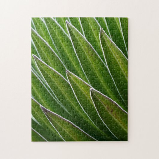 Lobelia (Lobelia telekii)| Kenia, Afrika Puzzle (Vertikal)