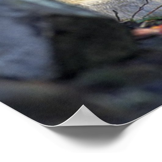 Lobo Gris Poster (Ecke)