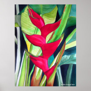 Lobster Claw Heliconia tropische Aquarellfarben Bl Poster