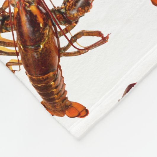 Lobster Fleece Blanket (Ecke)