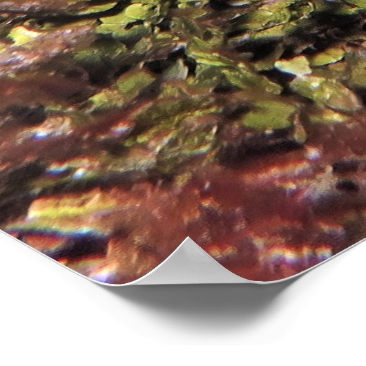 Lobster Trio Poster (Ecke)