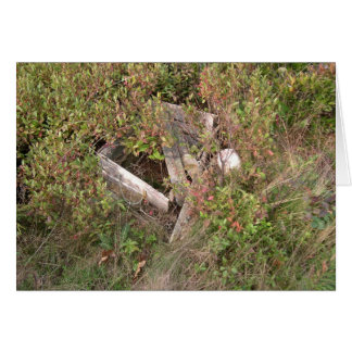 Lobsterman's box and bobber, Maine, USA