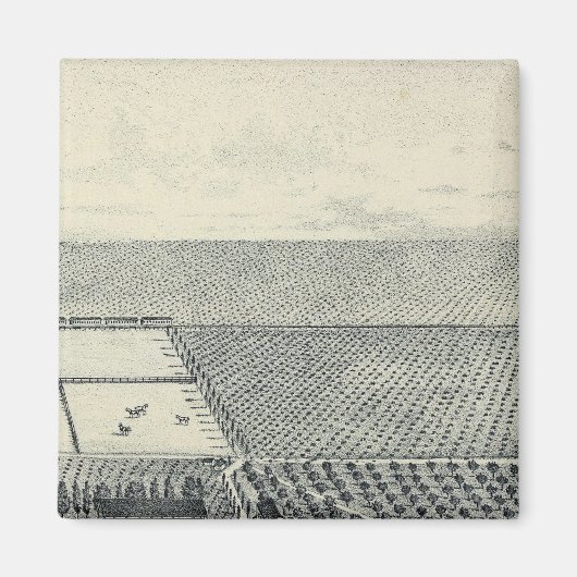 Locarno Magnet (Vorne)