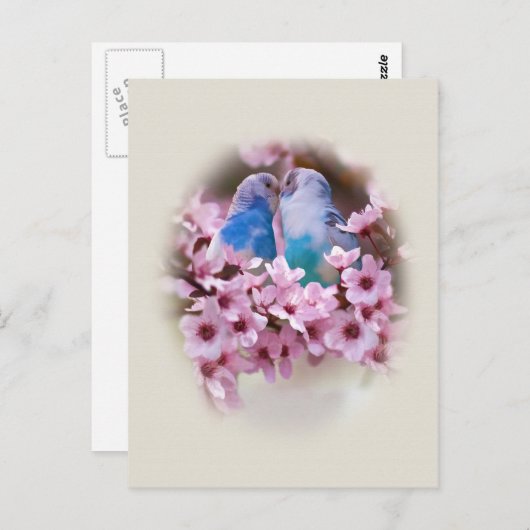 Locarno Postkarte (Vorne/Hinten)