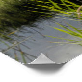 Loch Ard Jetty Poster (Ecke)