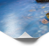 Loch Fyne, Foto in Schottland (Ecke)