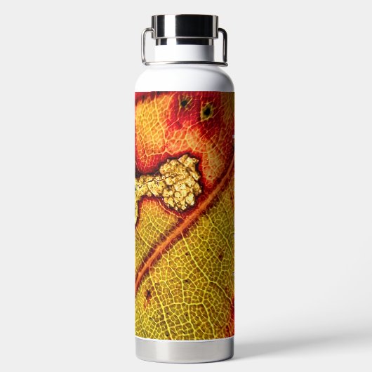 Loch in Wing Trinkflasche (Rückseite)