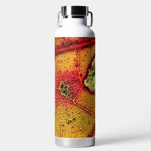 Loch in Wing Trinkflasche (Vorderseite)