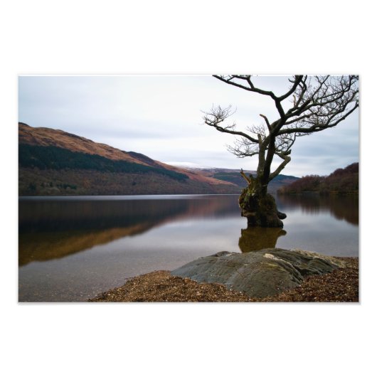 Loch Lomond, Foto in Schottland (Vorne)