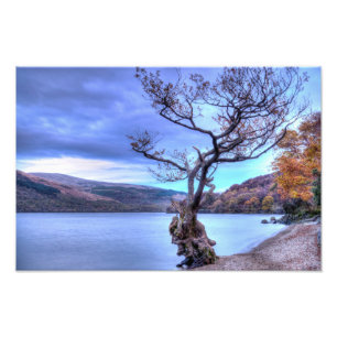 Loch Lomond, Foto in Schottland