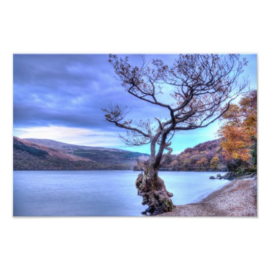 Loch Lomond, Foto in Schottland (Vorne)