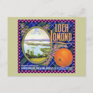 Loch Lomond Orange Blume Postkarte