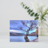 Loch Lomond, Schottland Postcard Postkarte (Stehend Vorderseite)
