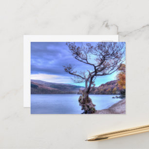 Loch Lomond, Schottland Postcard Postkarte