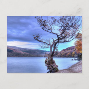 Loch Lomond, Schottland Postcard Postkarte