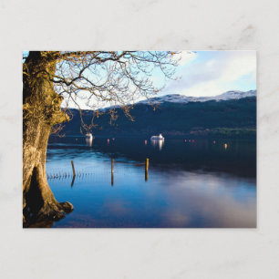 Loch Lomond, Tarbet, Schottland Postkarte