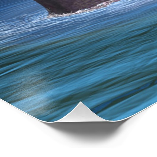 Loch Ness 2 Poster (Ecke)