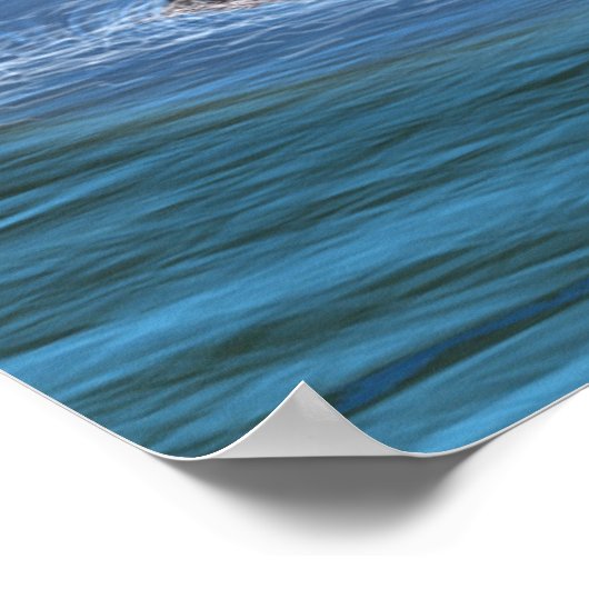 Loch Ness 2 Poster (Ecke)