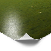 Loch Oich Sheep Fotodruck (Ecke)