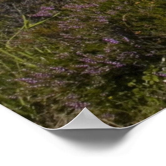 Loch Tulla Poster (Ecke)