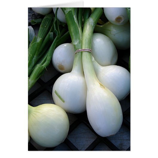 Löcher auf dem Bauernmarkt (Vorne)