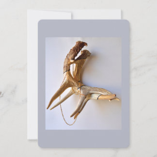 Locked horns flache Karte